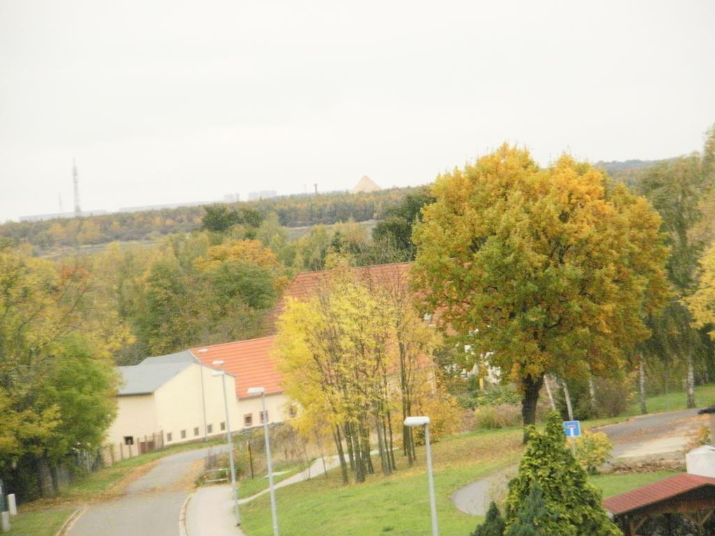 Zierold *